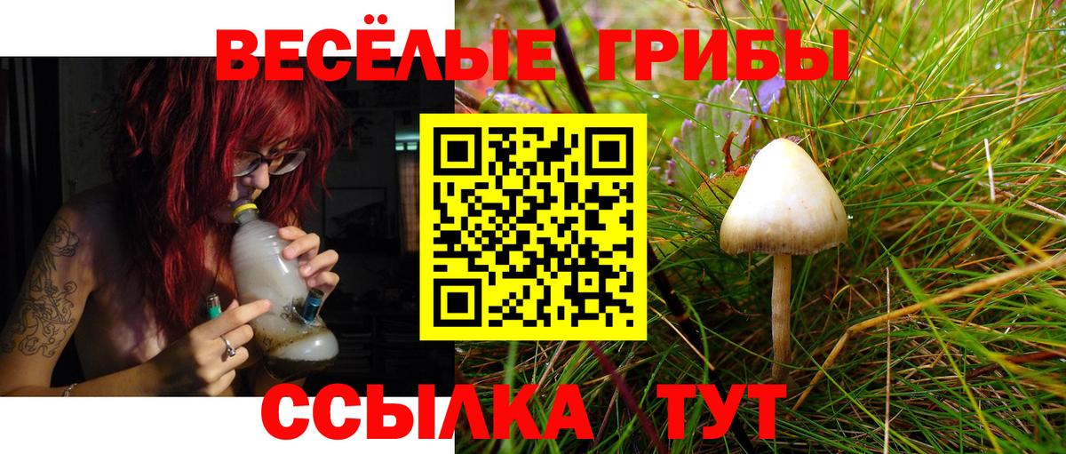Галлюциногенные грибы MAGIC MUSHROOMS Всеволожск