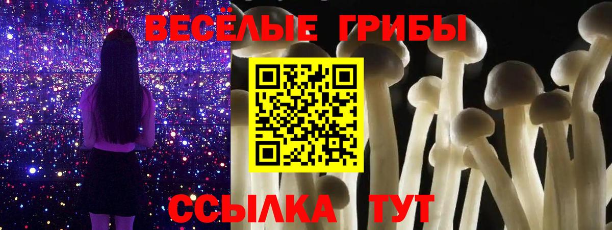 Всеволожск  Псилоцибиновые грибы мухоморы  Псилоцибиновые грибы мухоморы  Вход с VPN 